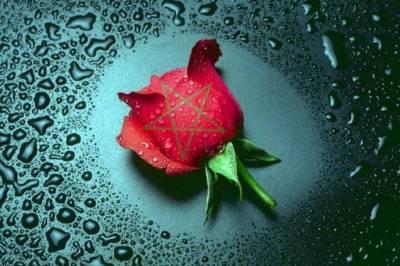 cette fleur a mon amour badre